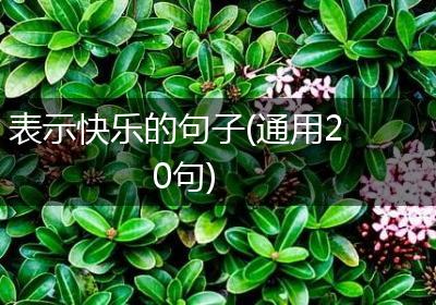 表示快乐的句子(通用20句)