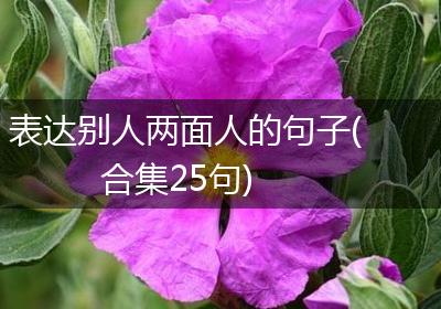 表达别人两面人的句子(合集25句)