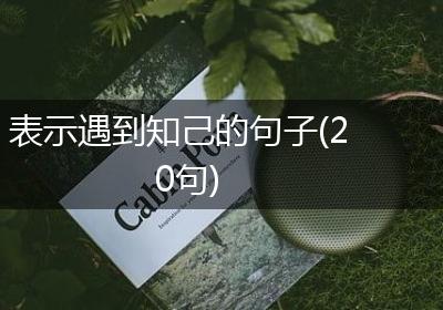 表示遇到知己的句子(20句)