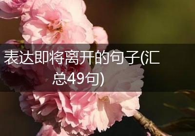 表达即将离开的句子(汇总49句)
