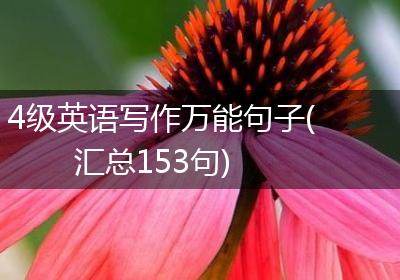 4级英语写作万能句子(汇总153句)