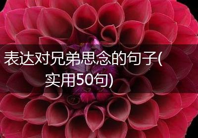 表达对兄弟思念的句子(实用50句)