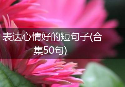 表达心情好的短句子(合集50句)