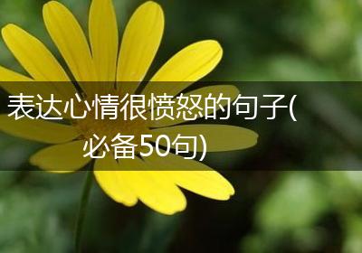 表达心情很愤怒的句子(必备50句)