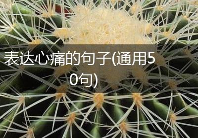 表达心痛的句子(通用50句)