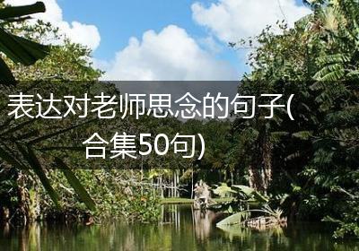 表达对老师思念的句子(合集50句)