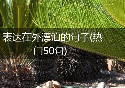 表达在外漂泊的句子(热门50句)