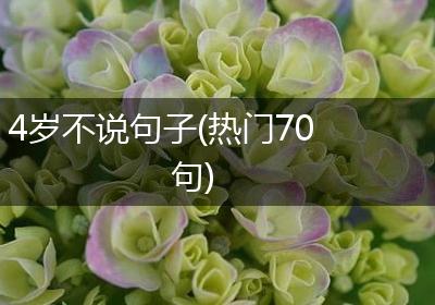 4岁不说句子(热门70句)