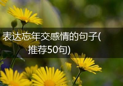 表达忘年交感情的句子(推荐50句)