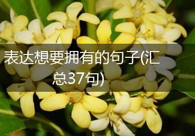 表达想要拥有的句子(汇总37句)