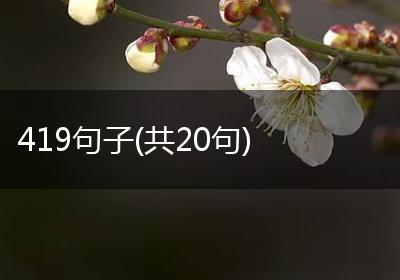 419句子(共20句)