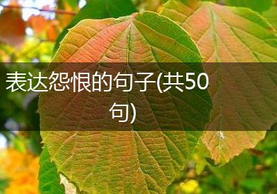 表达怨恨的句子(共50句)