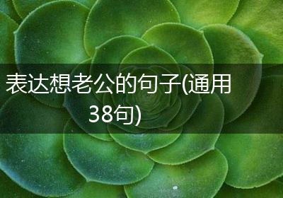 表达想老公的句子(通用38句)