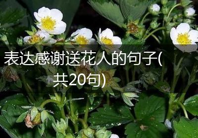 表达感谢送花人的句子(共20句)