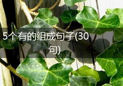 5个有的组成句子(30句)