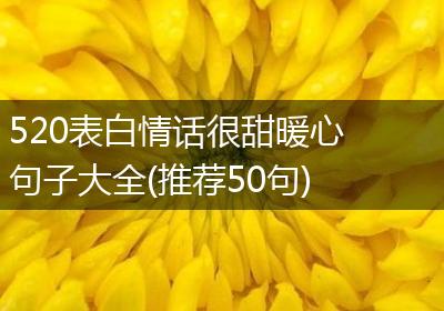520表白情话很甜暖心句子大全(推荐50句)