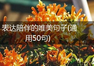 表达陪伴的唯美句子(通用50句)