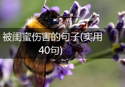 被闺蜜伤害的句子(实用40句)