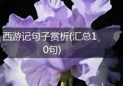 西游记句子赏析(汇总10句)