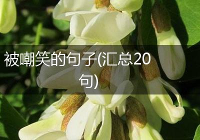 被嘲笑的句子(汇总20句)