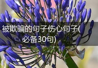 被欺骗的句子伤心句子(必备30句)
