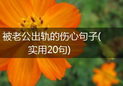 被老公出轨的伤心句子(实用20句)