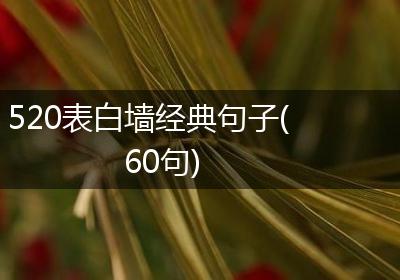 520表白墙经典句子(60句)