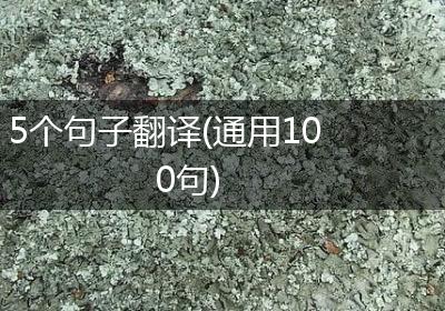 5个句子翻译(通用100句)