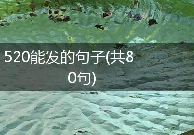 520能发的句子(共80句)