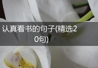认真看书的句子(精选20句)