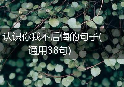 认识你我不后悔的句子(通用38句)