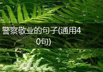 警察敬业的句子(通用40句)