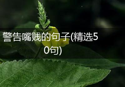 警告嘴贱的句子(精选50句)