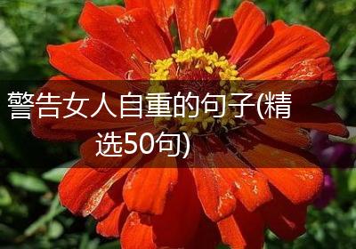 警告女人自重的句子(精选50句)