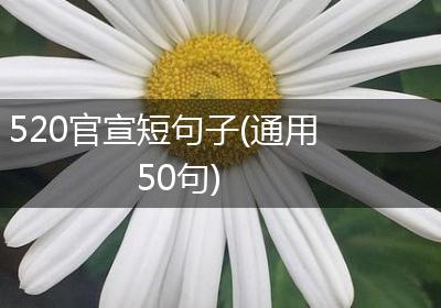 520官宣短句子(通用50句)