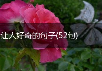 让人好奇的句子(52句)