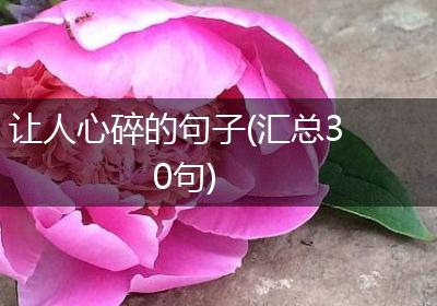 让人心碎的句子(汇总30句)
