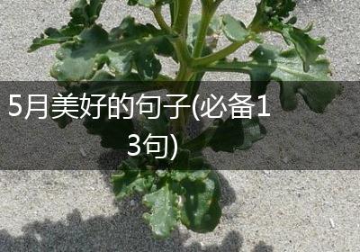 5月美好的句子(必备13句)
