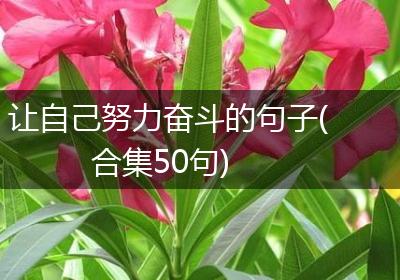 让自己努力奋斗的句子(合集50句)