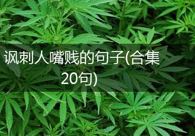 讽刺人嘴贱的句子(合集20句)