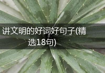 讲文明的好词好句子(精选18句)