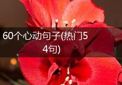 60个心动句子(热门54句)