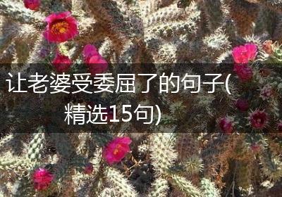 让老婆受委屈了的句子(精选15句)