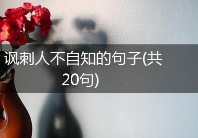 讽刺人不自知的句子(共20句)