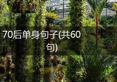 70后单身句子(共60句)
