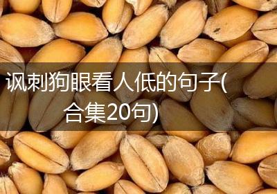 讽刺狗眼看人低的句子(合集20句)