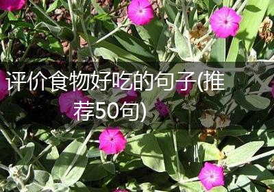 评价食物好吃的句子(推荐50句)