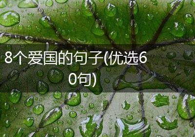 8个爱国的句子(优选60句)