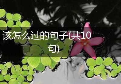 该怎么过的句子(共10句)