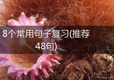 8个常用句子复习(推荐48句)